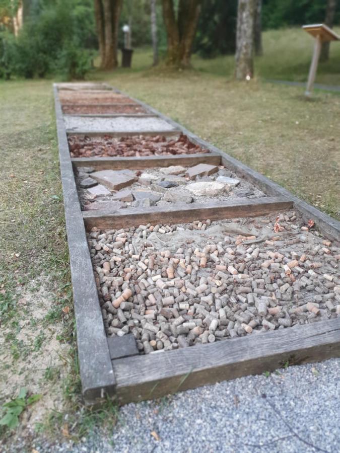 Modernisierte Ferienwohnung Naturseelen Mit Schwimmbad Und Sauna Braunlage Exterior foto