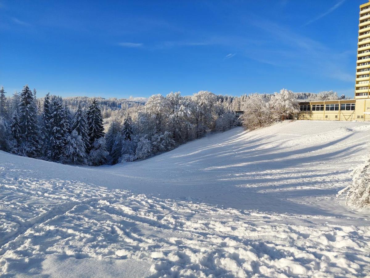Modernisierte Ferienwohnung Naturseelen Mit Schwimmbad Und Sauna Braunlage Exterior foto